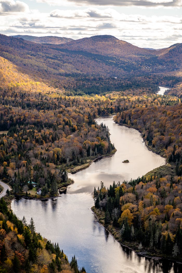 A breathtaking aerial view of a winding river surrounded by vibrant autumn foliage in Québec, Canada.