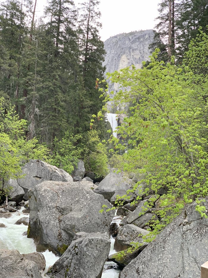 Breathtaking view of a waterfall amidst lush greenery and rocks in Yosemite Valley, CA.