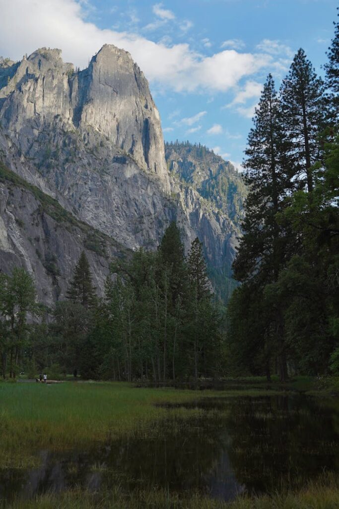 Stunning view of Yosemite Valley featuring towering cliff, lush trees, and tranquil marsh, perfect for nature and travel enthusiasts.