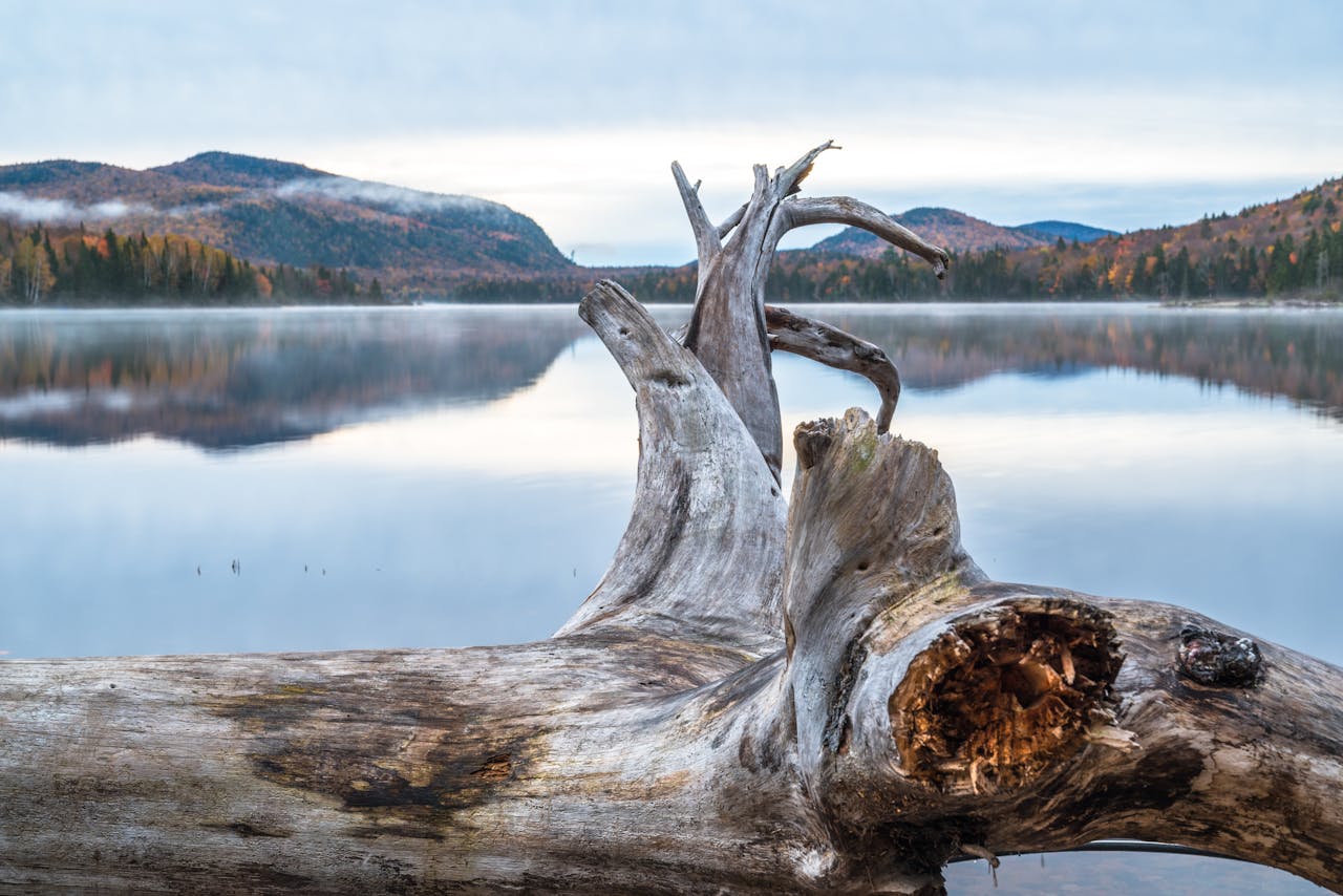 Beautiful autumn lake landscape in Mont-Tremblant, Quebec, Canada featuring calm reflections and fallen tree.