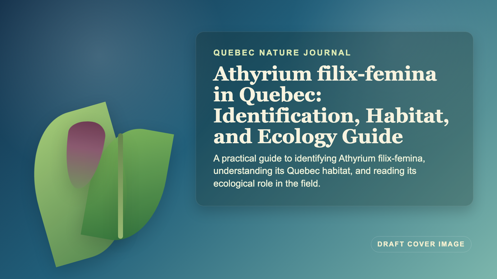 Illustration inspired by Athyrium filix-femina in Quebec: Identification, Habitat, and Ecology Guide
