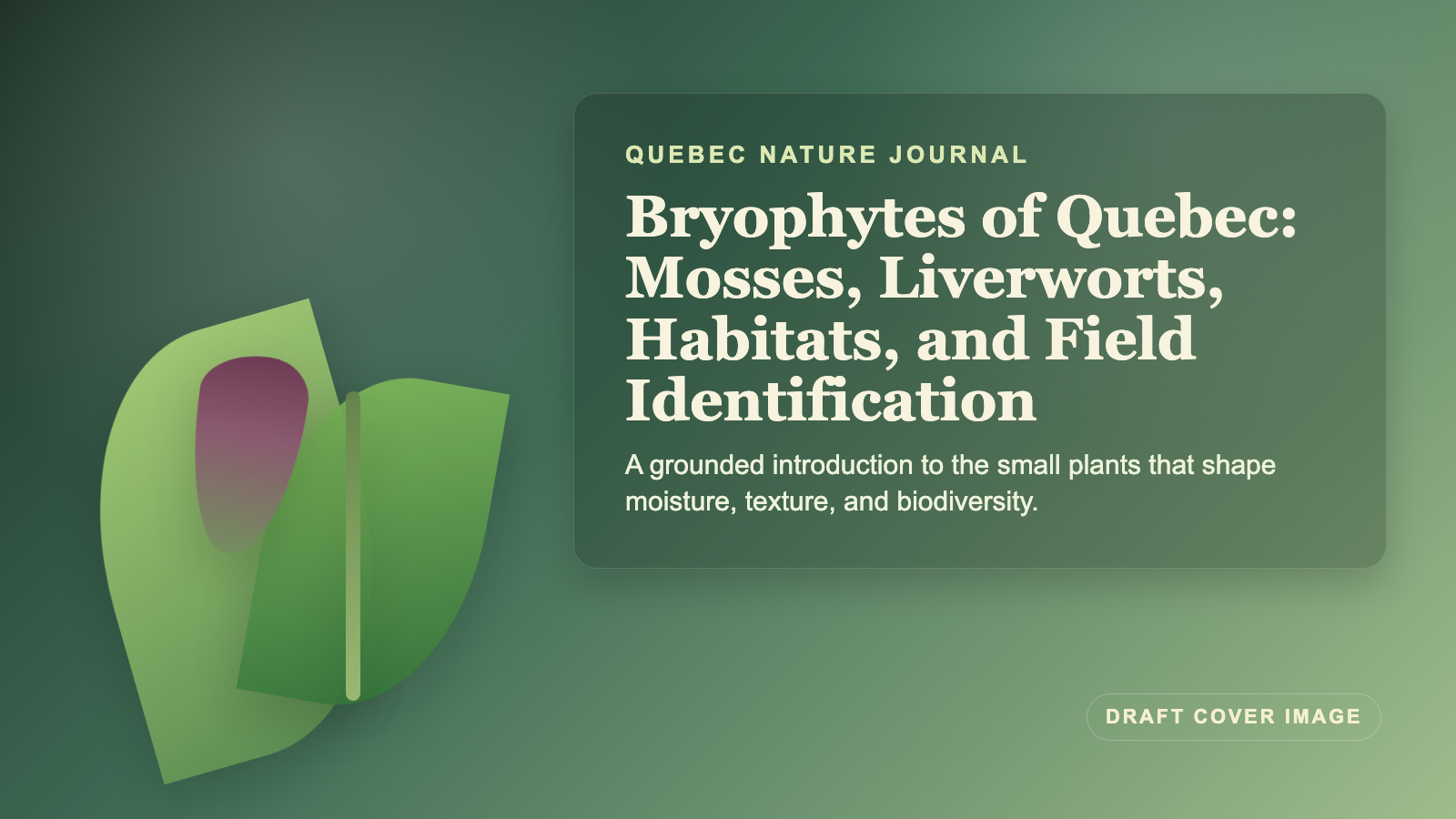 Illustration inspired by bryophytes of Quebec