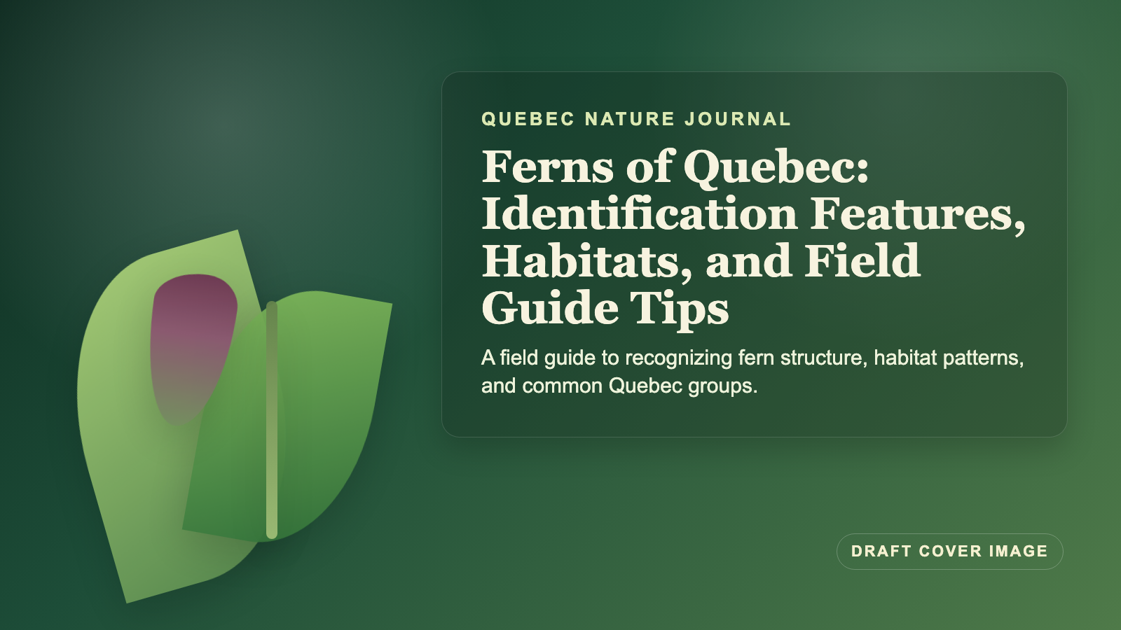 Illustration inspired by ferns of Quebec