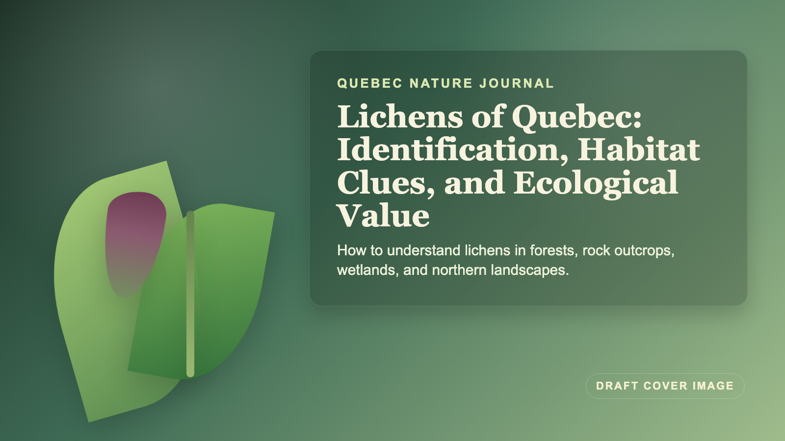Illustration inspired by Lichens of Quebec: Identification, Habitat Clues, and Ecological Value