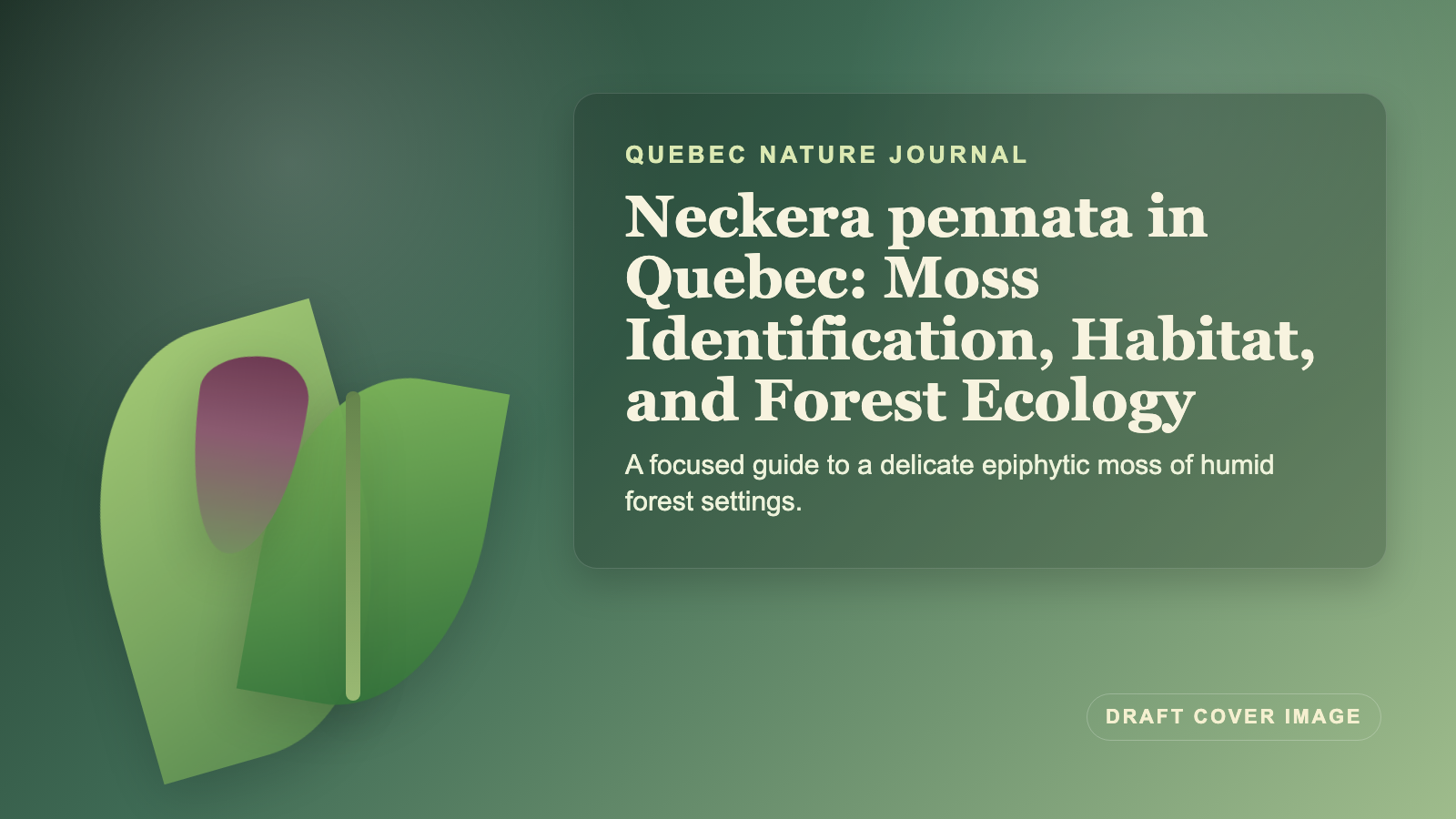 Illustration inspired by Neckera pennata in Quebec: Moss Identification, Habitat, and Forest Ecology