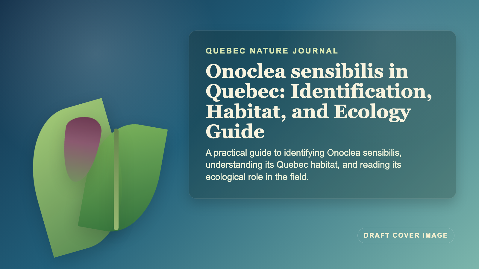 Illustration inspired by Onoclea sensibilis in Quebec