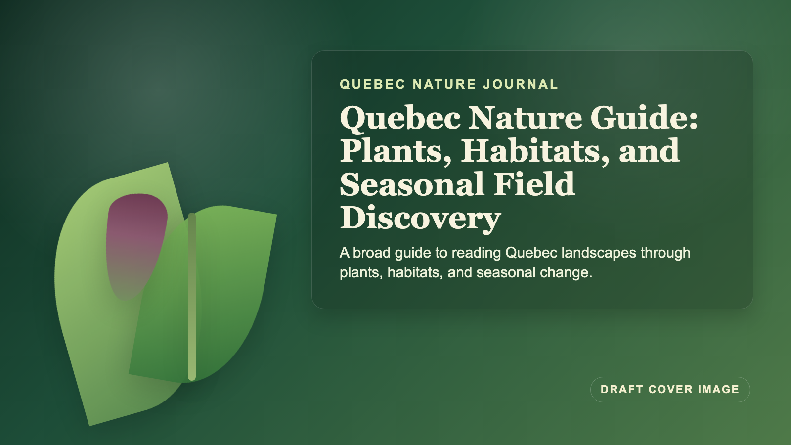 Illustration inspired by Quebec Nature Guide: Plants, Habitats, and Seasonal Field Discovery