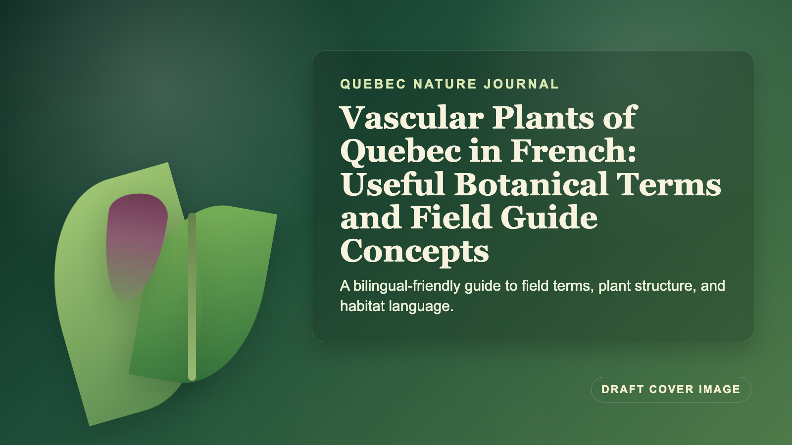 Illustration inspired by Vascular Plants of Quebec in French: Useful Botanical Terms and Field Guide Concepts