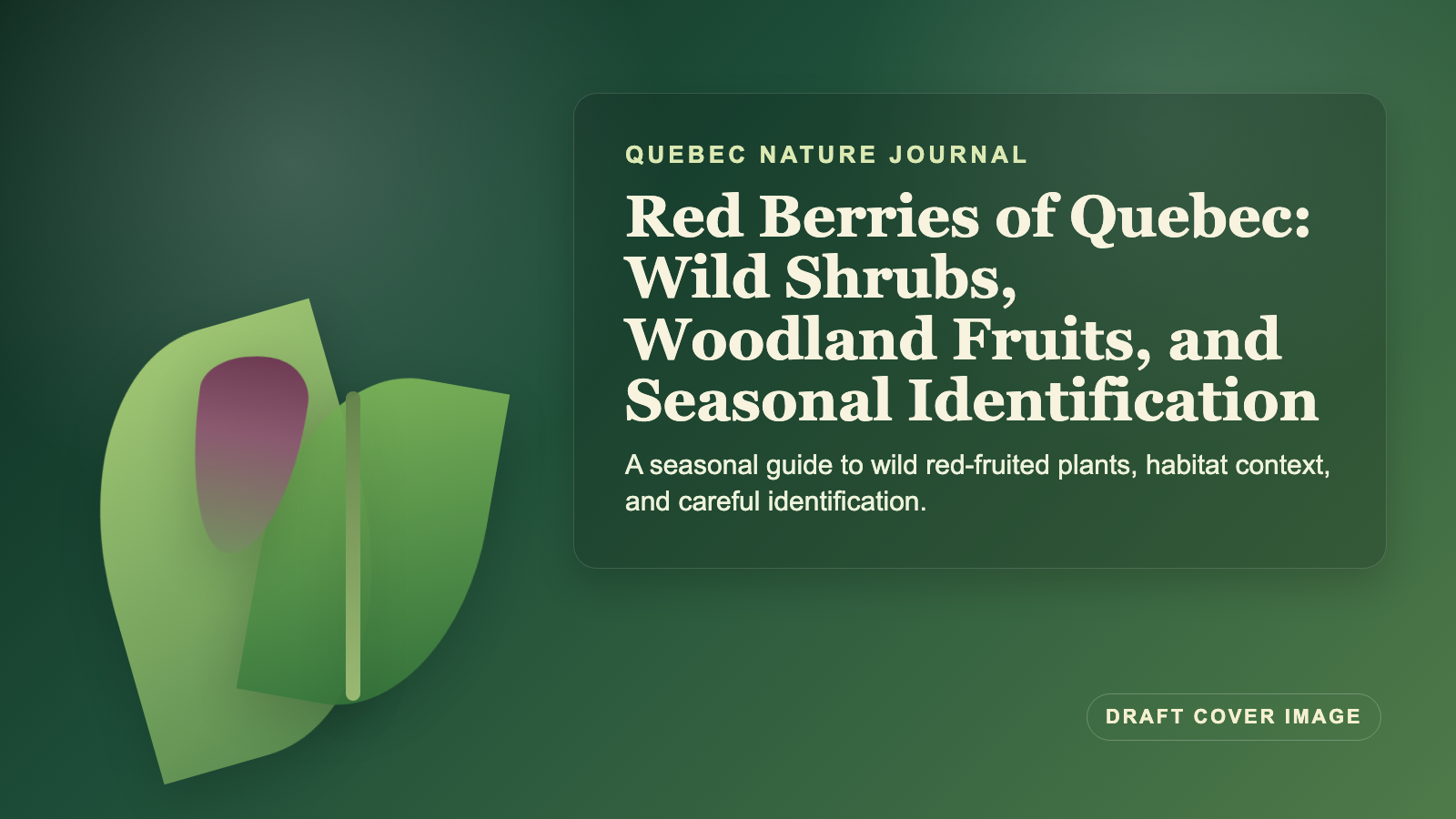 Illustration inspired by red berries of Quebec