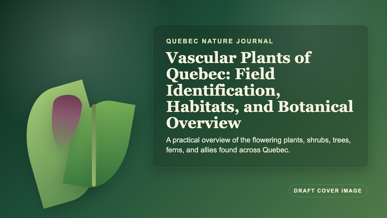 Illustration inspired by Vascular Plants of Quebec: Field Identification, Habitats, and Botanical Overview